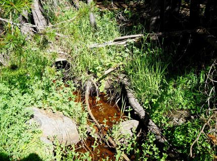000 Forest Road , Soda Springs, CA 95728 Photo