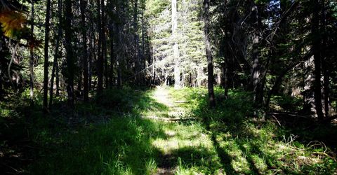 000 Forest Road , Soda Springs, CA 95728 Photo