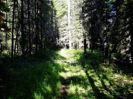 000 Forest Road , Soda Springs, CA 95728 Photo