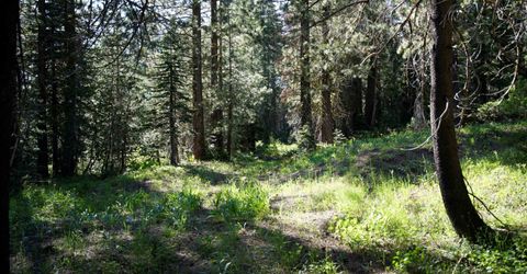 000 Forest Road , Soda Springs, CA 95728 Photo
