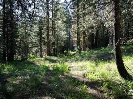 000 Forest Road , Soda Springs, CA 95728 Photo