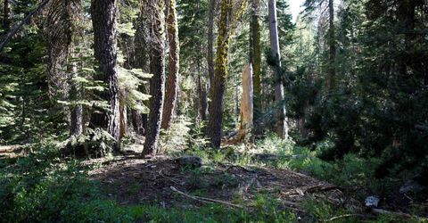 000 Forest Road , Soda Springs, CA 95728 Photo