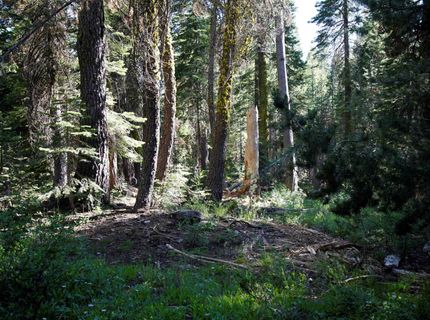 000 Forest Road , Soda Springs, CA 95728 Photo