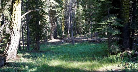 000 Forest Road , Soda Springs, CA 95728 Photo