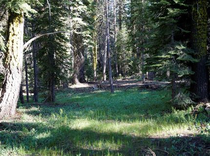 000 Forest Road , Soda Springs, CA 95728 Photo
