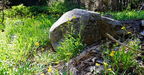000 Forest Road , Soda Springs, CA 95728 Photo