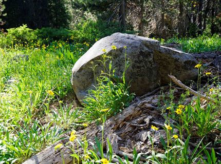 000 Forest Road , Soda Springs, CA 95728 Photo