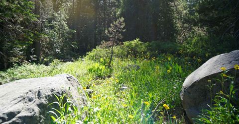000 Forest Road , Soda Springs, CA 95728 Photo