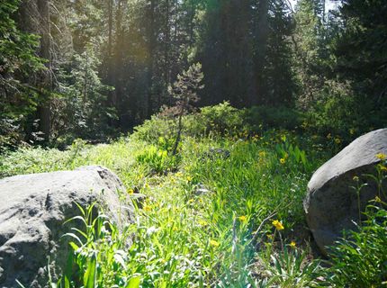 000 Forest Road , Soda Springs, CA 95728 Photo