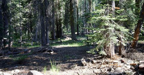 000 Forest Road , Soda Springs, CA 95728 Photo