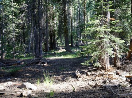 000 Forest Road , Soda Springs, CA 95728 Photo