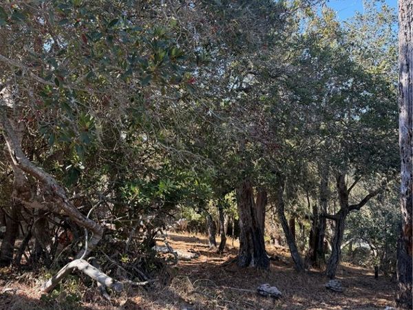 0 Melrose, Cambria, CA 93428