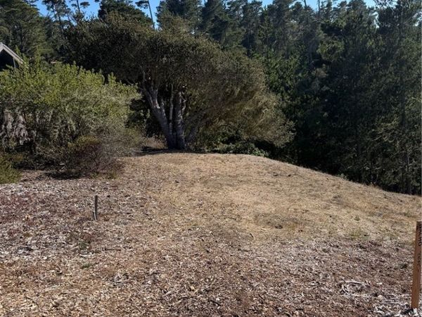 3123 Rogers, Cambria, CA 93428