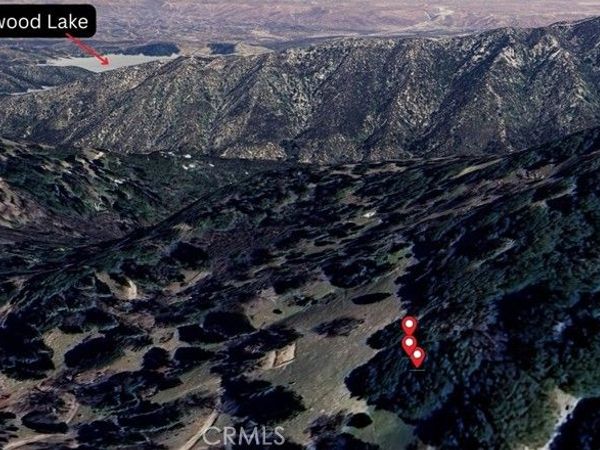 756 Mojave River (NEAR) Road, Cedarpines Park, CA 92322