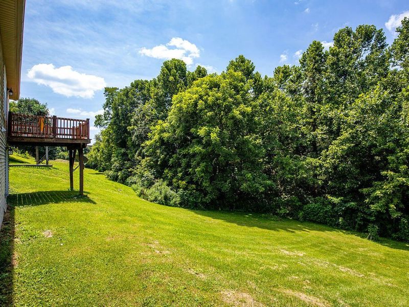 210 Crittenden Court, Crittenden, KY 41030 Photo 29