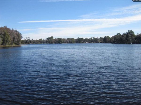 18618 WAYNE ROAD, ODESSA, FL 33556