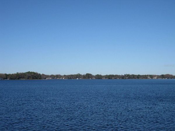 18618 WAYNE ROAD , ODESSA, FL 33556