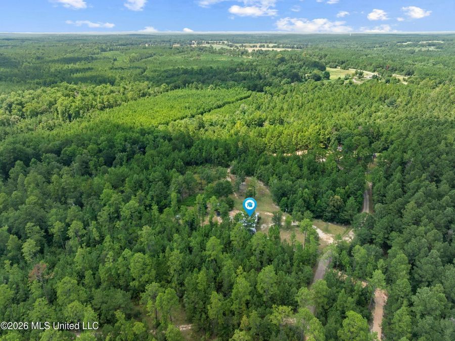 Property Image 60