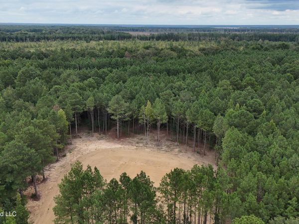 681 Lone Pine Church Road, Lena, MS 39094