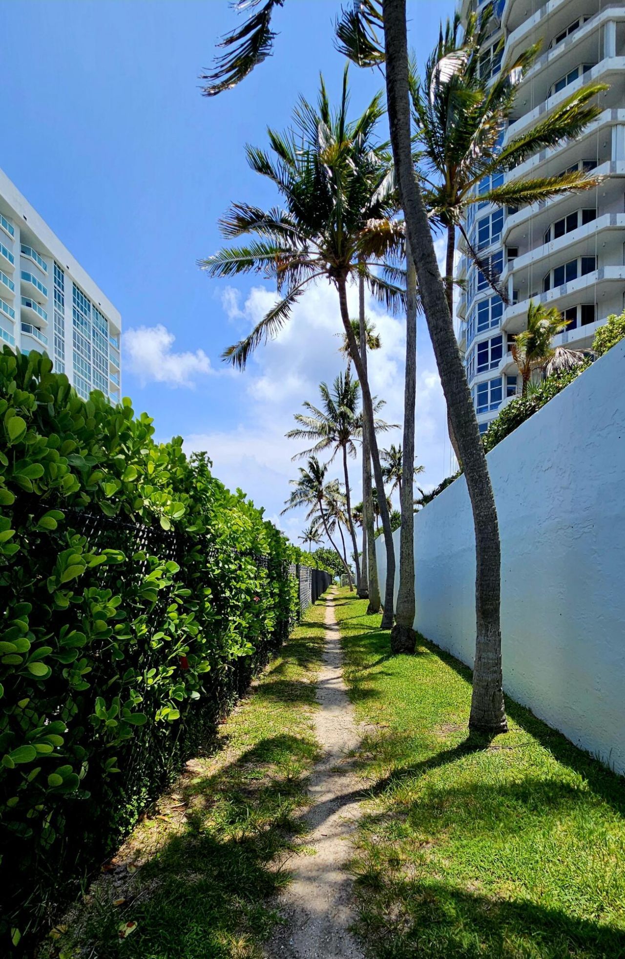 1461 S Ocean Boulevard, Unit 311, Lauderdale by the Sea, FL 33062 Photo