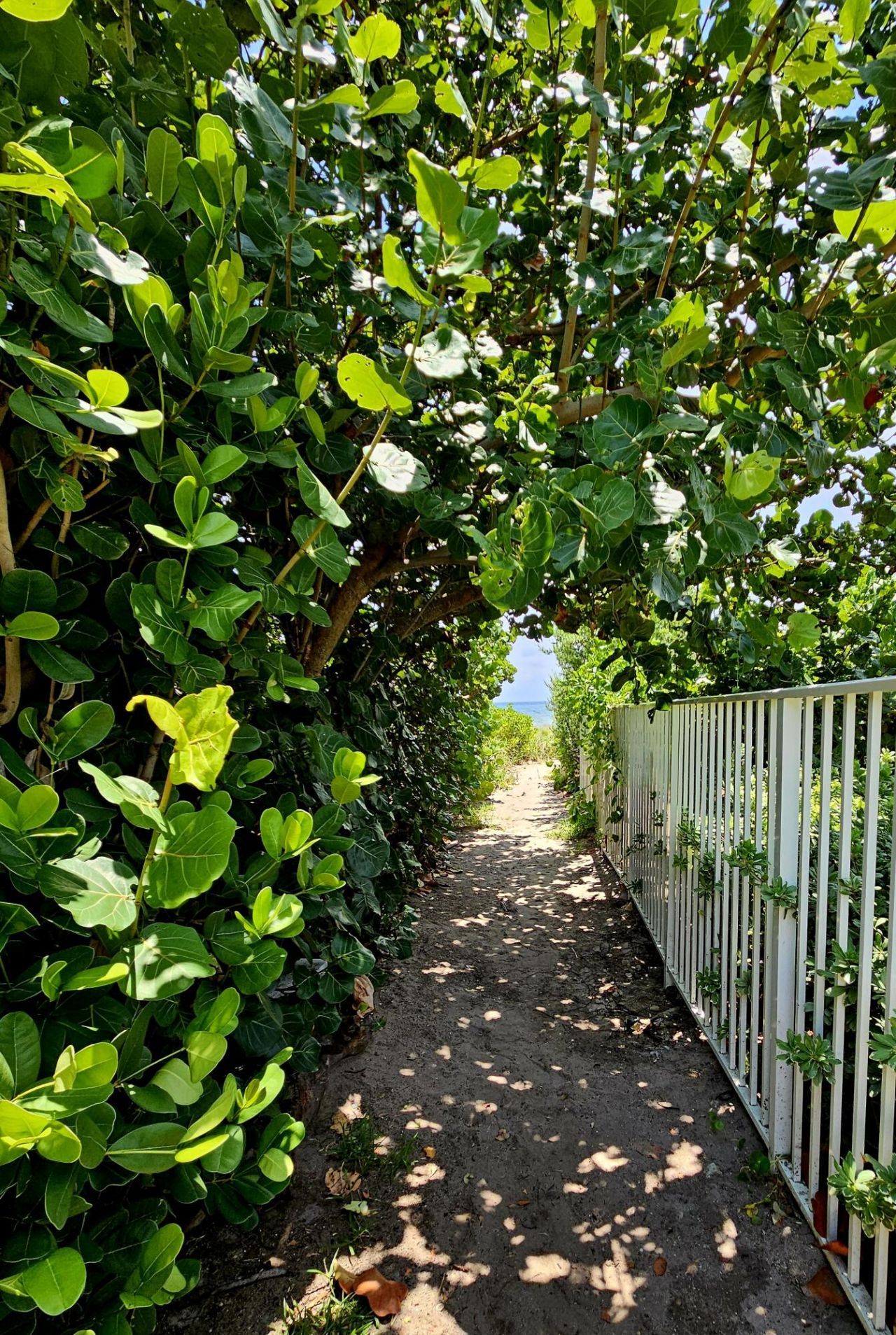 1461 S Ocean Boulevard, Unit 311, Lauderdale by the Sea, FL 33062 Photo