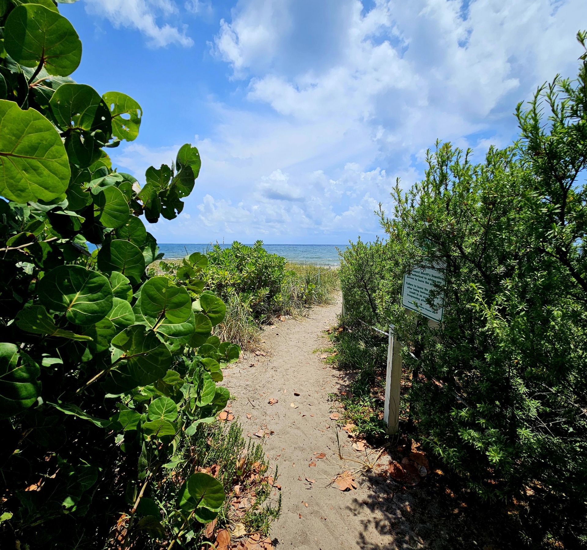 1461 S Ocean Boulevard, Unit 311, Lauderdale by the Sea, FL 33062 Photo