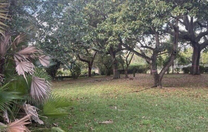 24700 SW 129th Avenue, Homestead, FL 33032 Photo