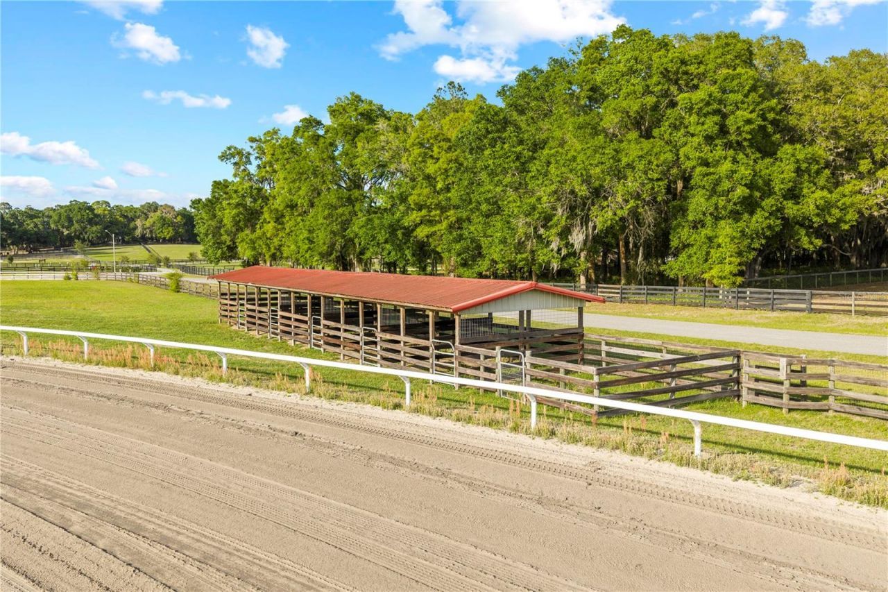1345 NE 155th Place, Citra, FL 32113 Photo