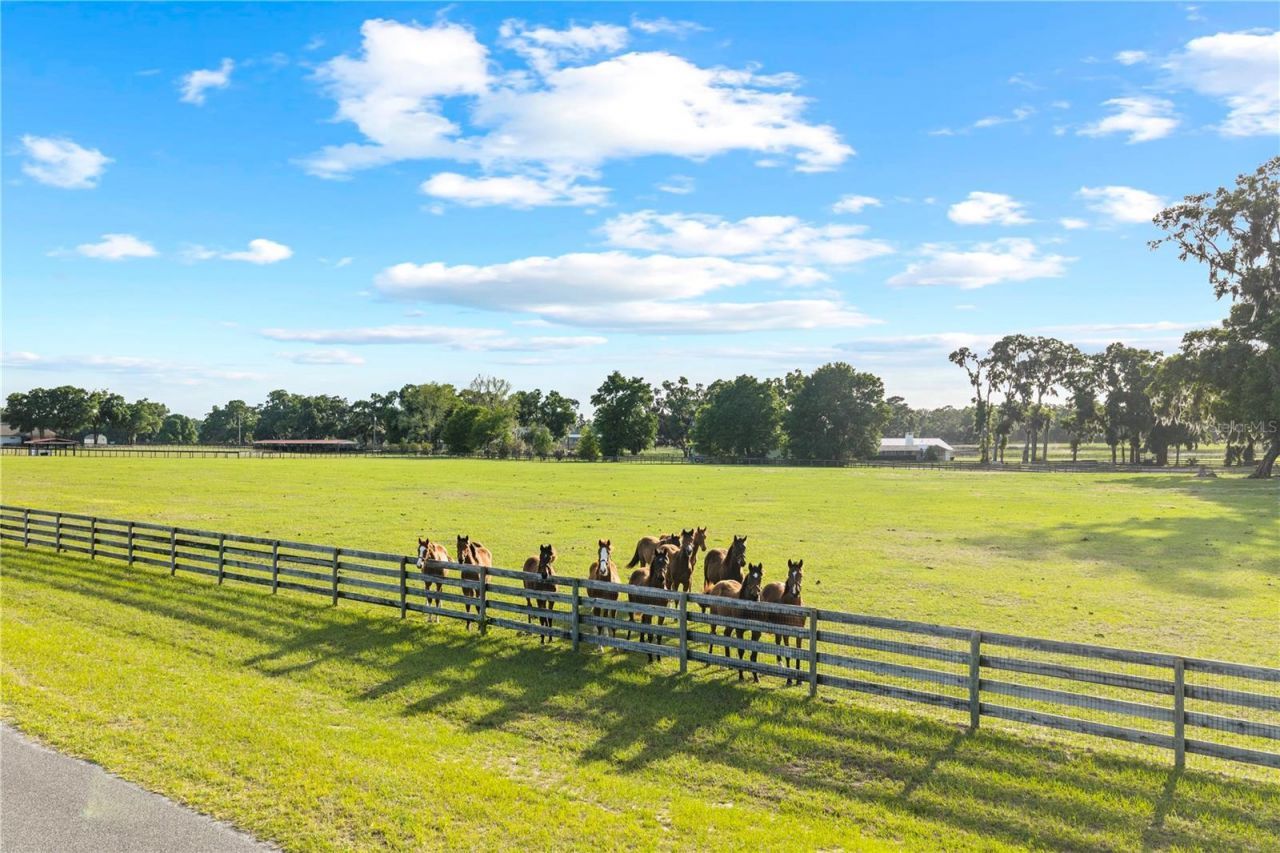 1345 NE 155th Place, Citra, FL 32113 Photo