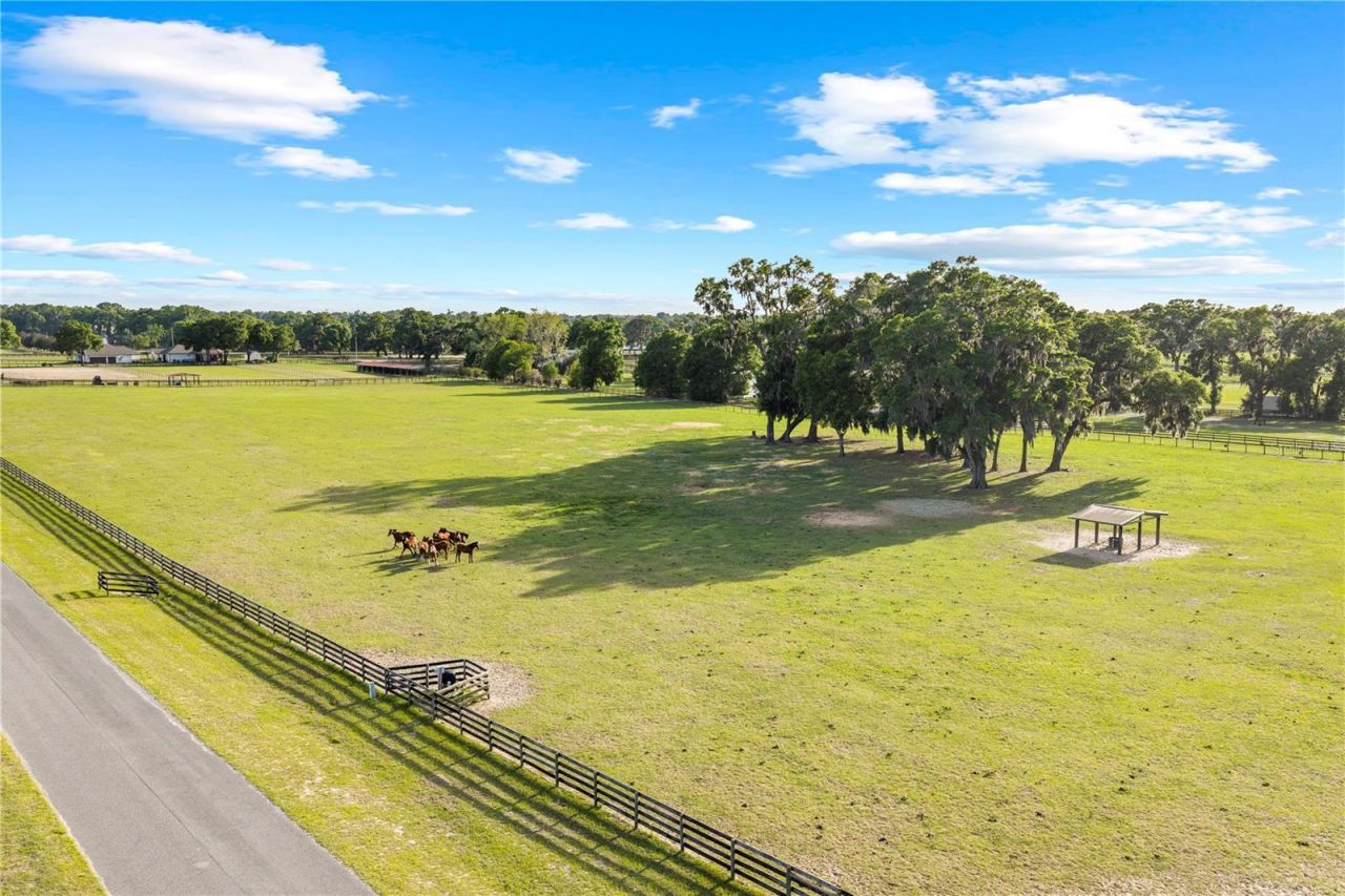 1345 NE 155th Place, Citra, FL 32113 Photo