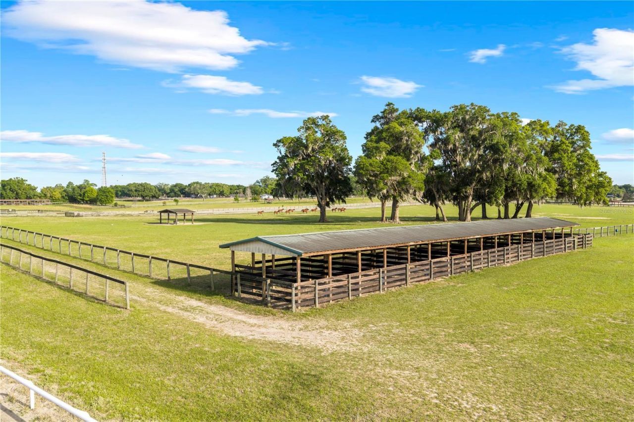 1345 NE 155th Place, Citra, FL 32113 Photo