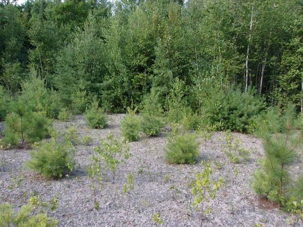 Fenn Way Circle, Unit 2, Bath, NH 03740