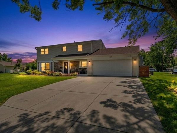 407 N Braintree Drive, Schaumburg, IL 60194