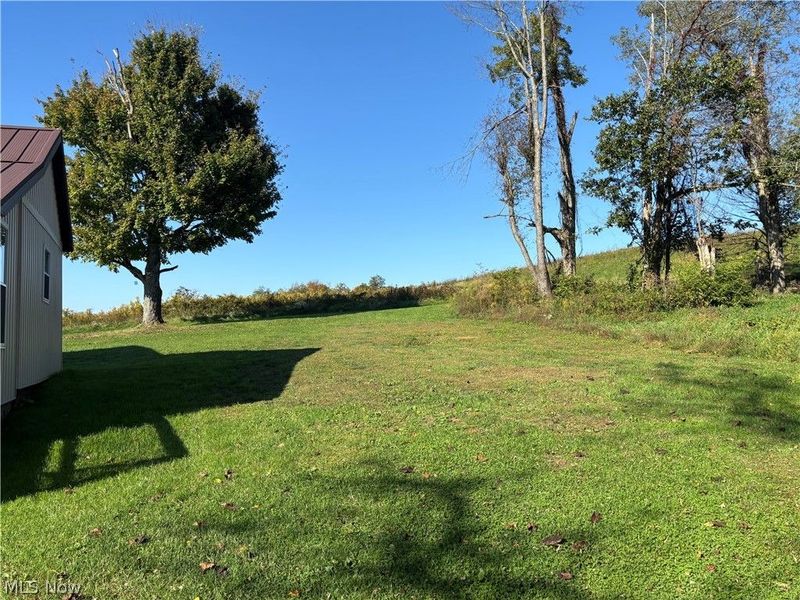 41381 Brown Road, Bethesda, OH 43719 Photo 8