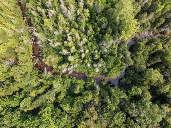 0000 Bergmann Road, East Jordan, MI 49727