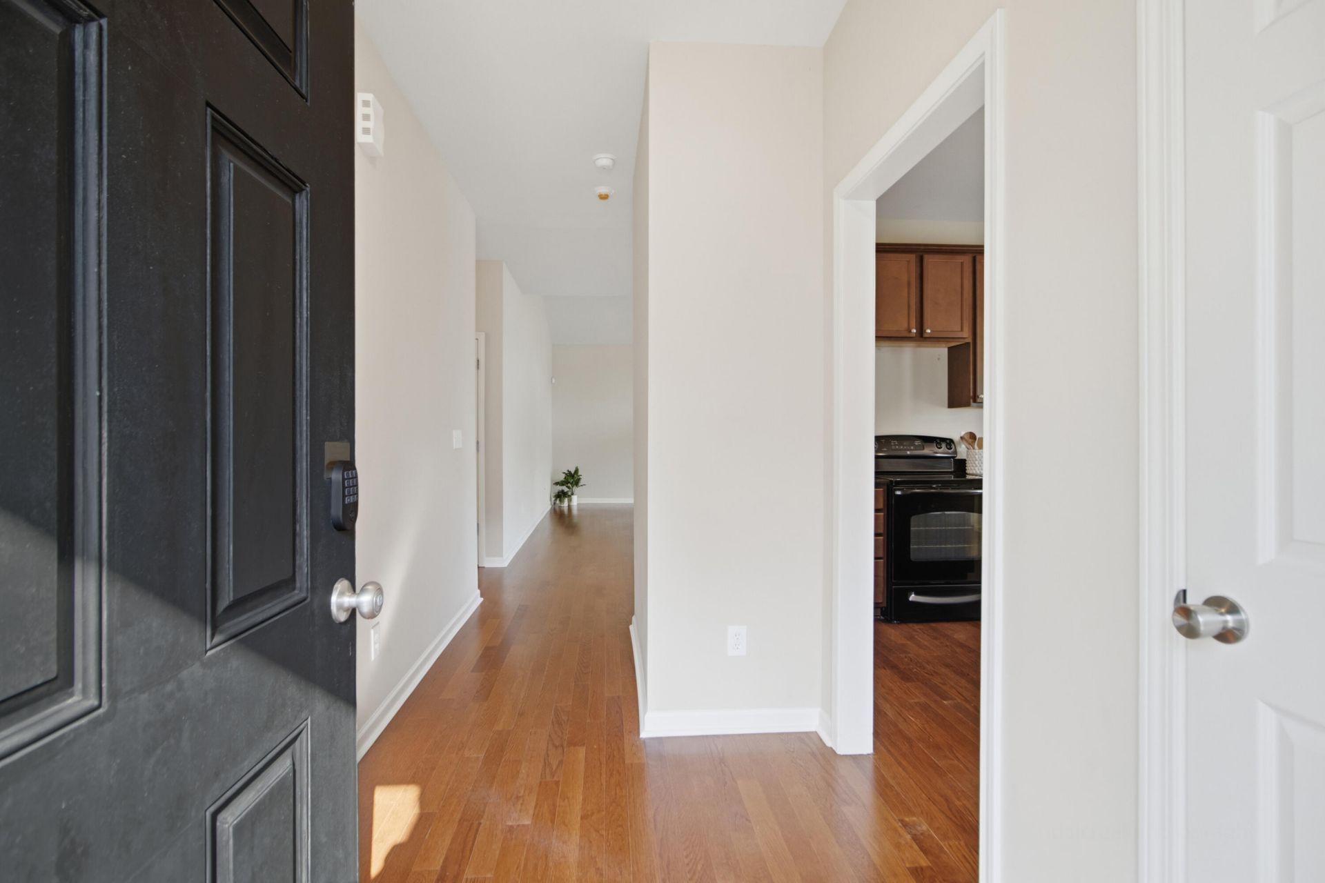2649 Woodfield Court Photo 8