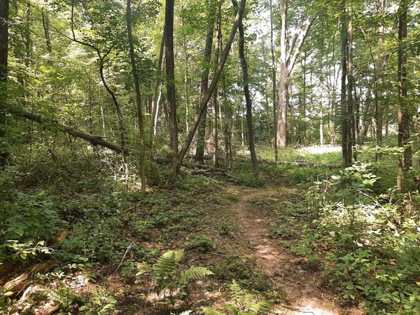 TBD Xxx 279th Street , Osceola, WI 54020