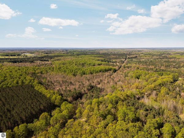 11886 Cedar Creek Road, Fife Lake, MI 49633