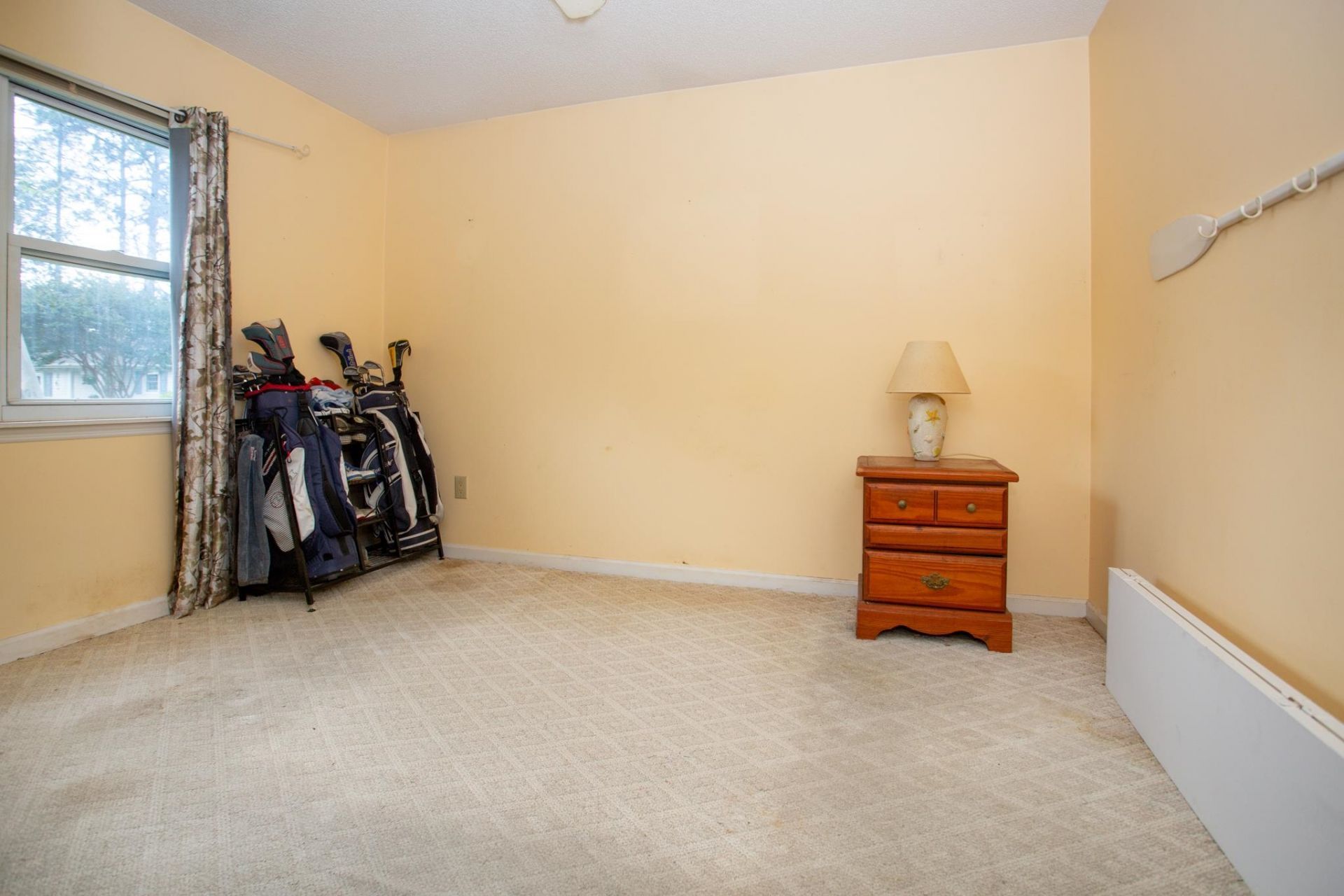 6658 Cinnamon Fern Ln.  Photo 18