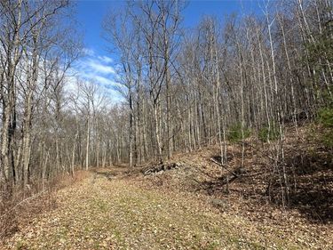 0 O Brien Road N, Savona, NY 14879