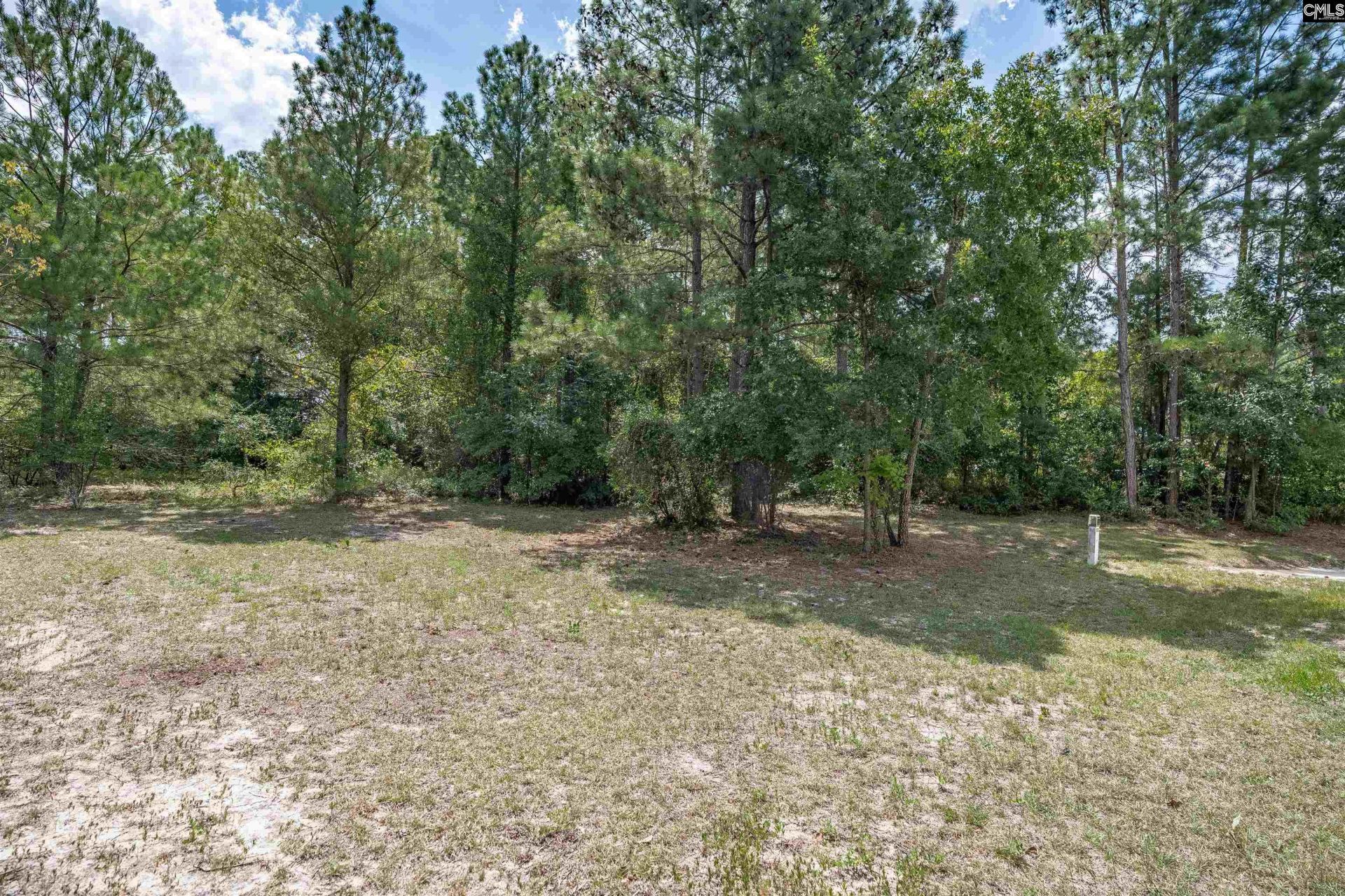 205 Drayden Court  Photo 37