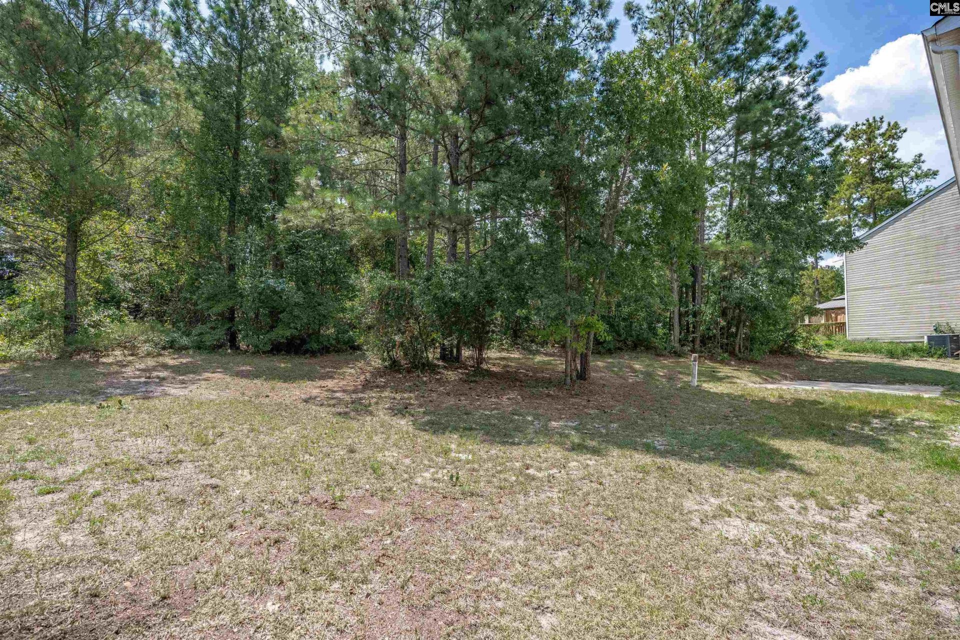 205 Drayden Court  Photo 38