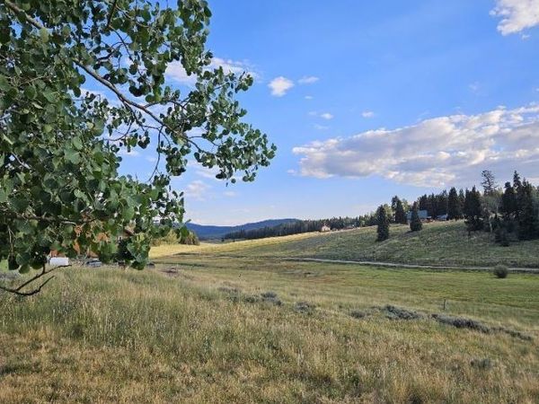 265 Ponderosa Way, Cimarron, CO 81220