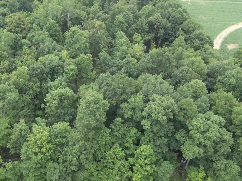 0 Raymond Road, Marysville, OH 43040 Photo 13