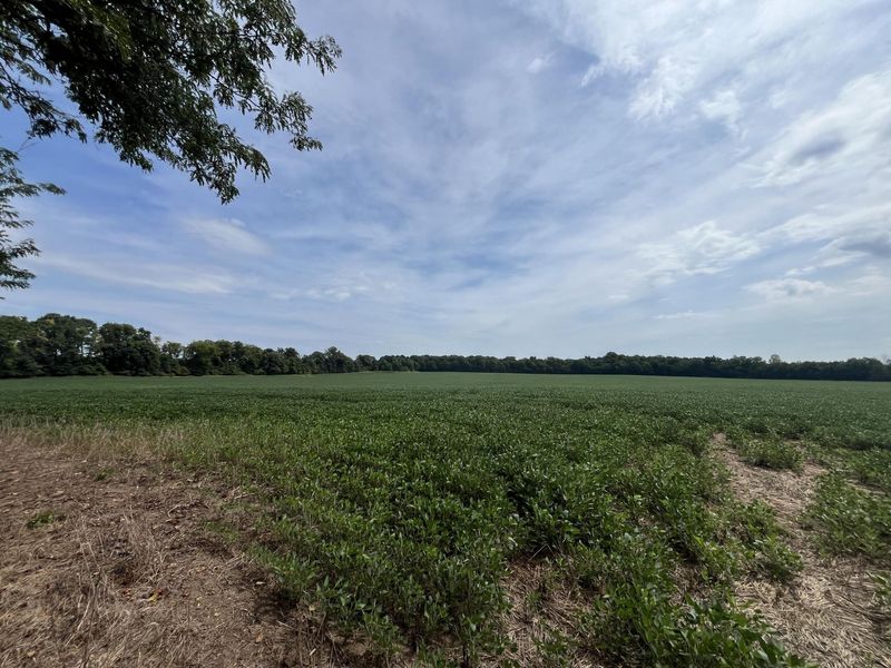 0 Raymond Road, Marysville, OH 43040 Photo 27