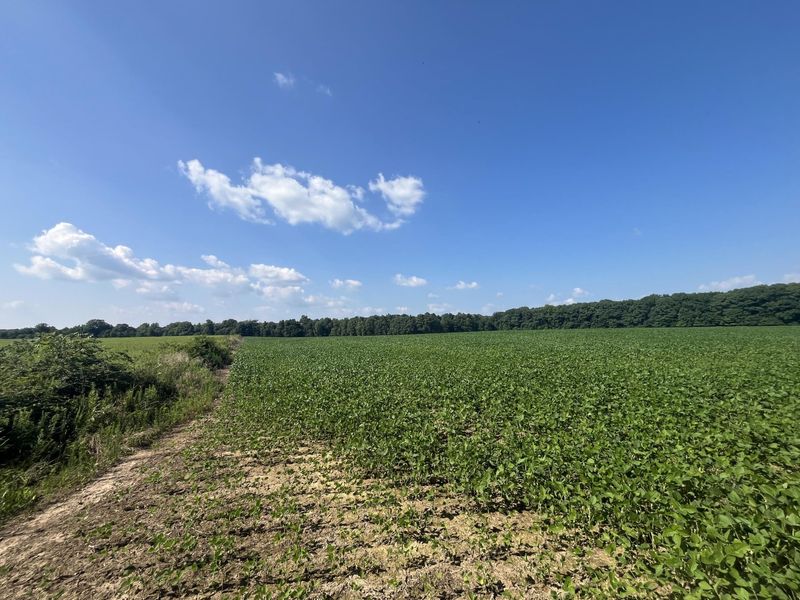 0 Raymond Road, Marysville, OH 43040 Photo 30