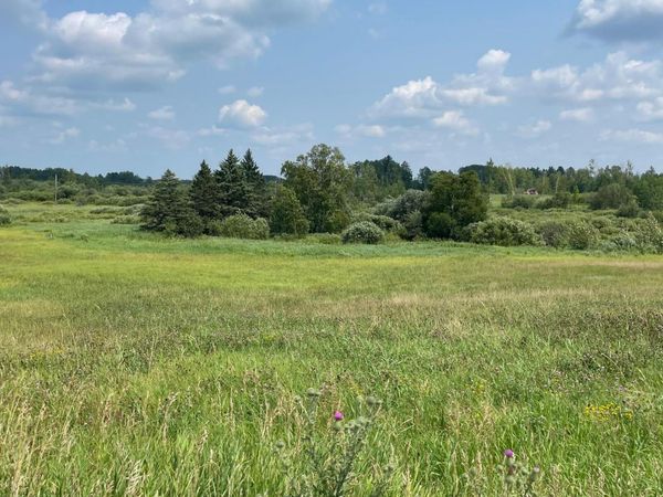 14331 395th Lane , Tamarack, MN 55787