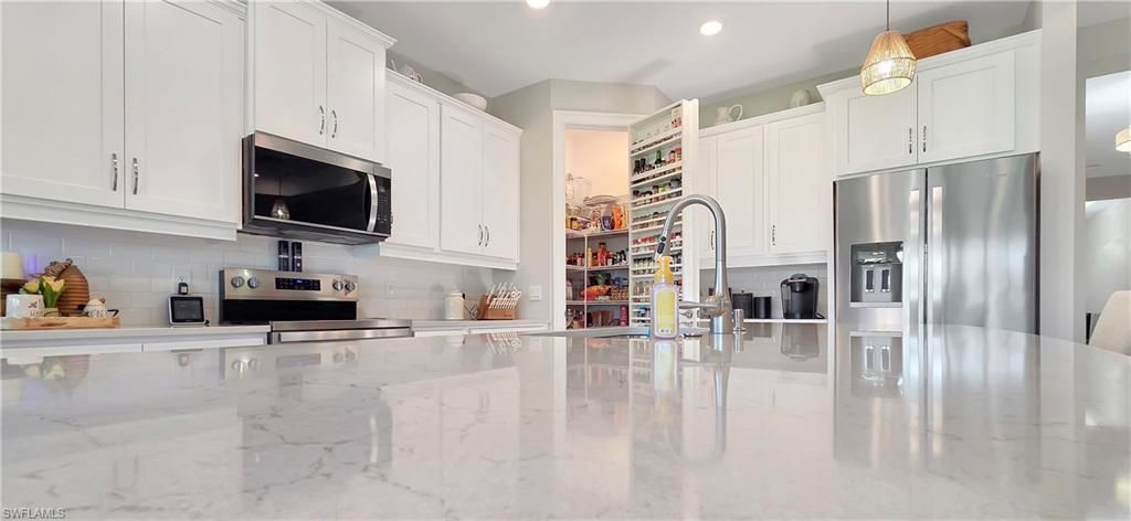 16791 Elkhorn Coral Dr, North Fort Myers, FL 33903 Photo
