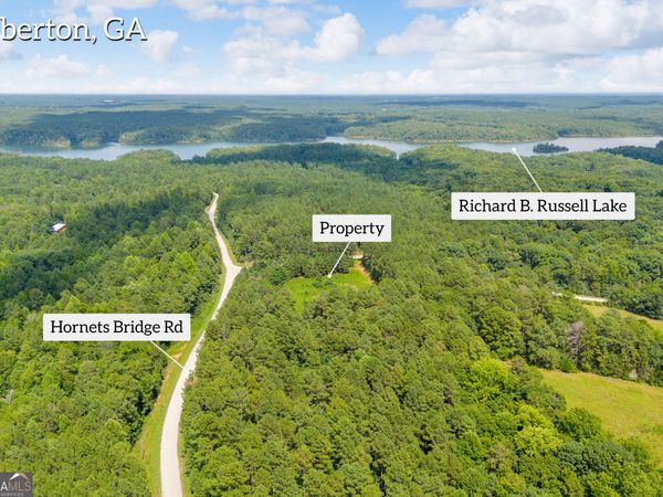 0 Hornets Bridge Road, Elberton, GA 30635