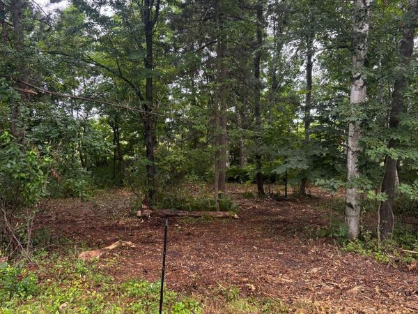 TBD W Bone Lake Dr , Milltown, WI 54858